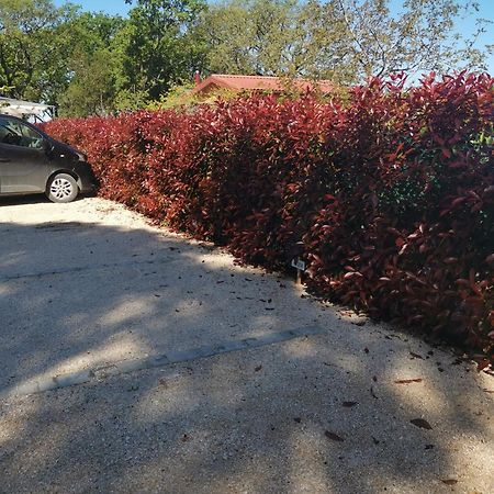 Holiday Park Mimoza Bašanija المظهر الخارجي الصورة
